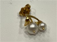 Orecchini Salvini Donna in Oro giallo Perla N86356B - N86356B